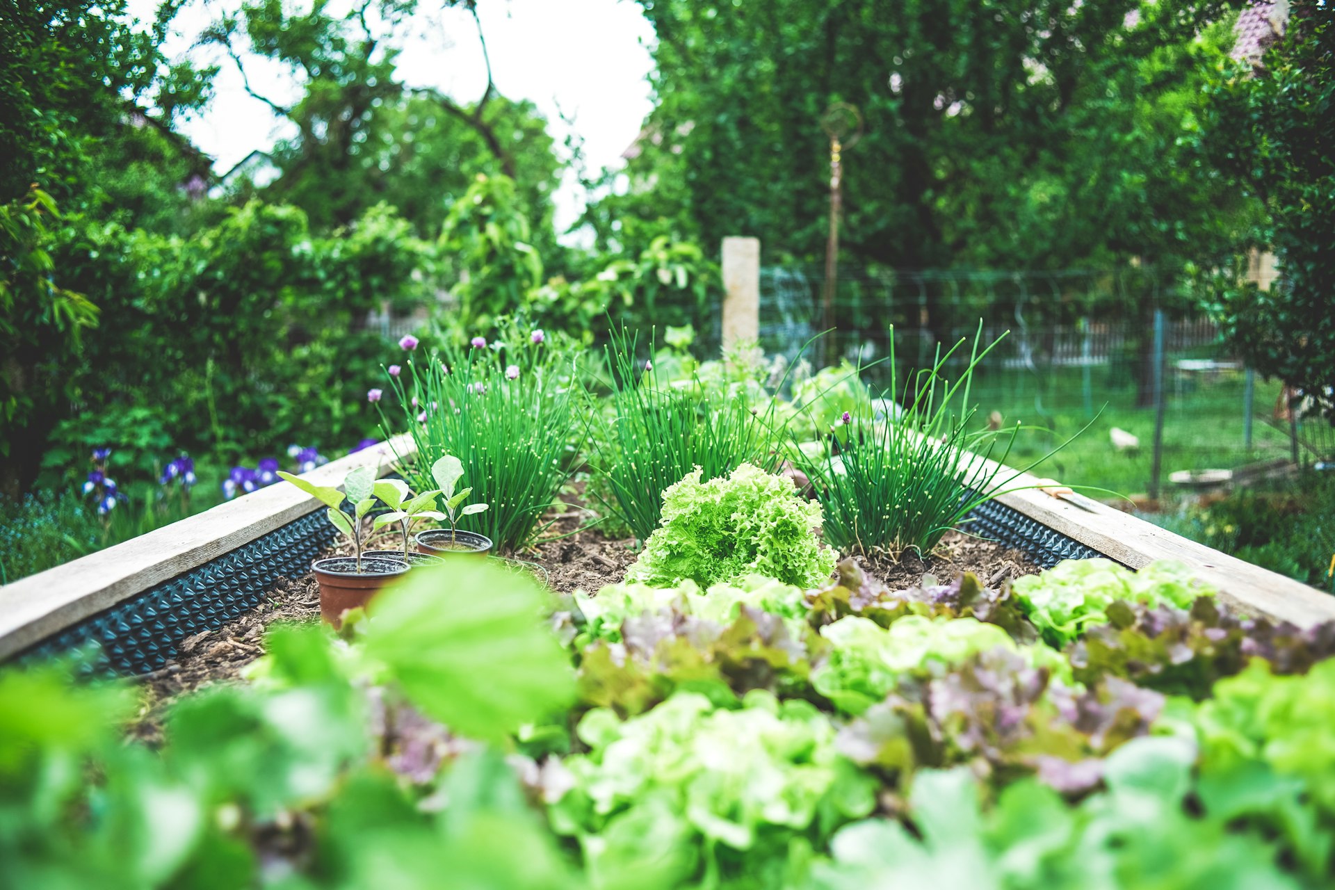Entretien jardin févrirer