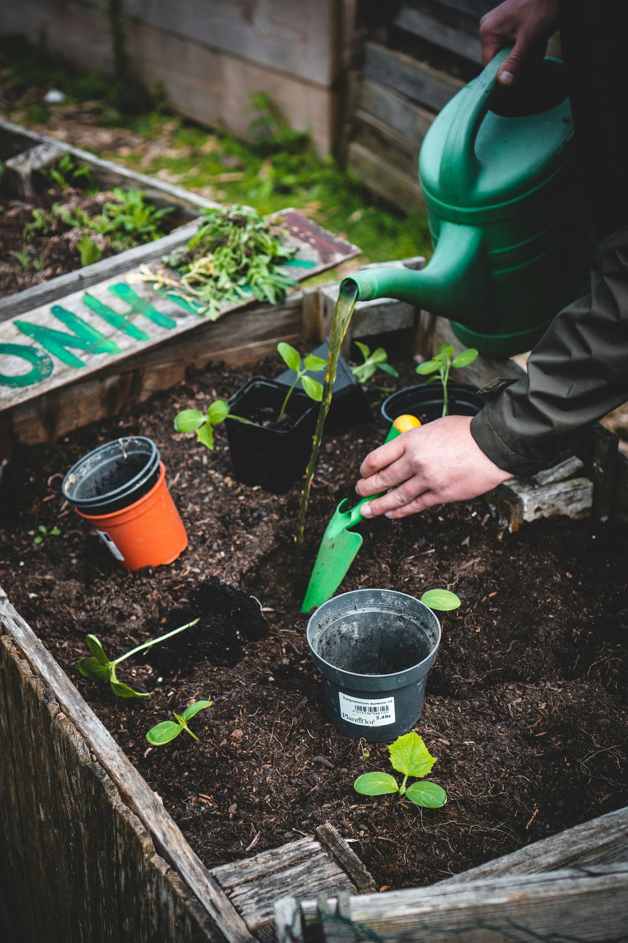 mars entretien de jardin pelle potager