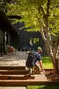 Terrasse en bois Vert Val.webp