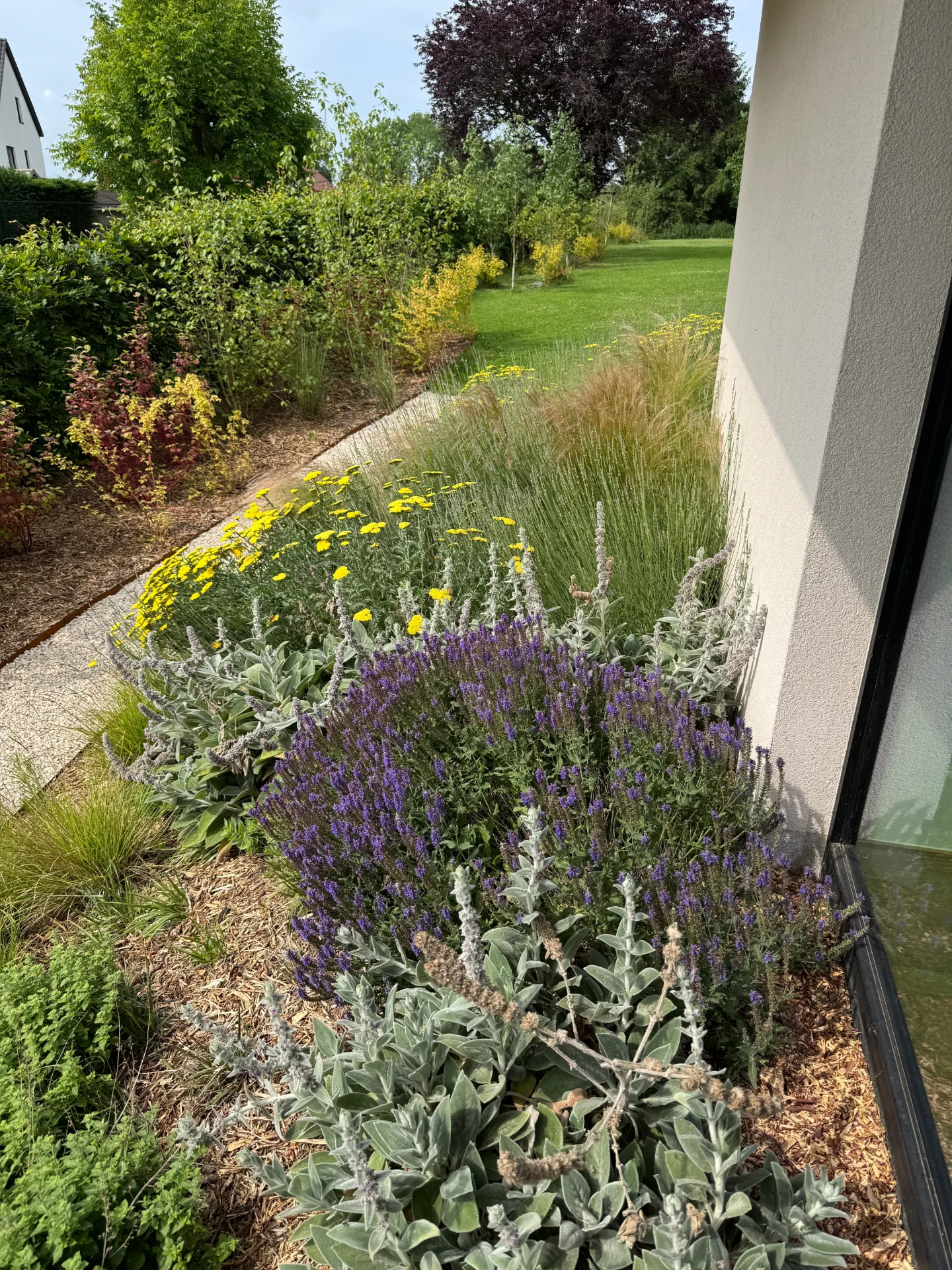 Design massif & Ambiances (Petite bordure · jusqu'à 10m²)