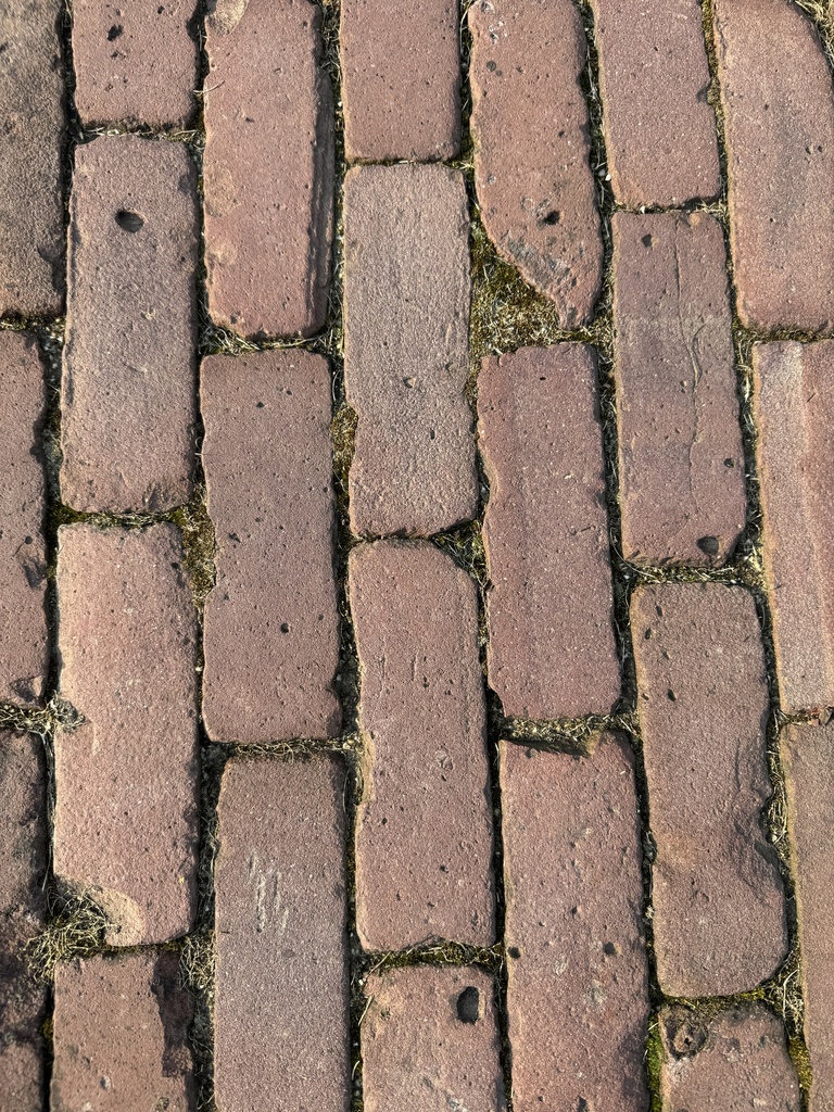 Red bricks